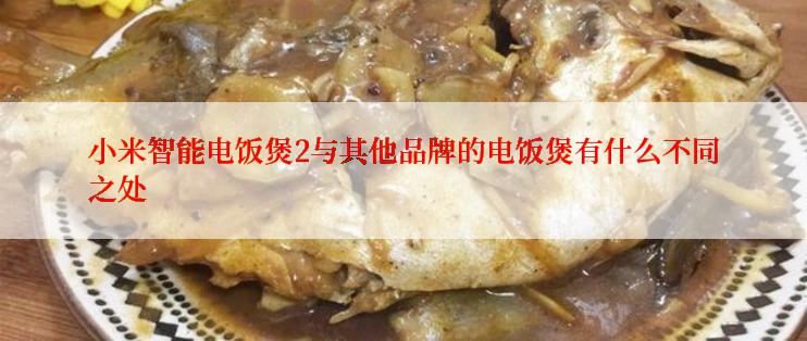 小米智能电饭煲2与其他品牌的电饭煲有什么不同之处