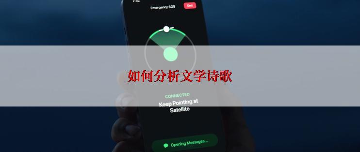 如何分析文学诗歌