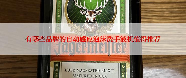 有哪些品牌的自动感应泡沫洗手液机值得推荐