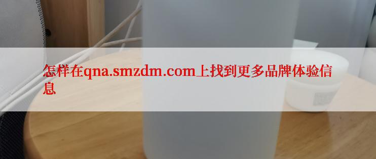 怎样在qna.smzdm.com上找到更多品牌体验信息