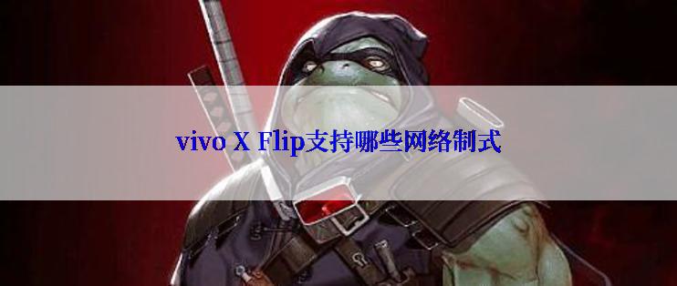 vivo X Flip支持哪些网络制式