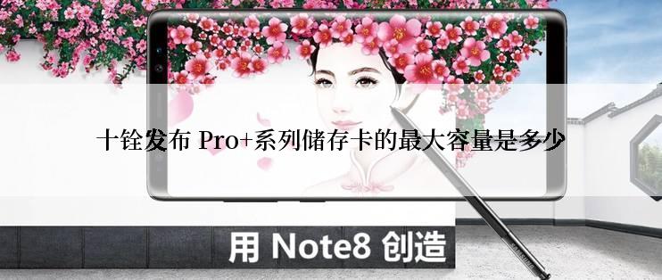 十铨发布 Pro+系列储存卡的最大容量是多少