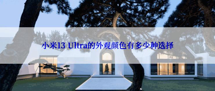 小米13 Ultra的外观颜色有多少种选择