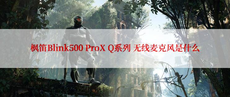 枫笛Blink500 ProX Q系列 无线麦克风是什么