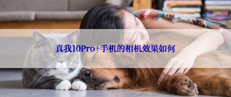 真我10Pro+手机的相机效果如何