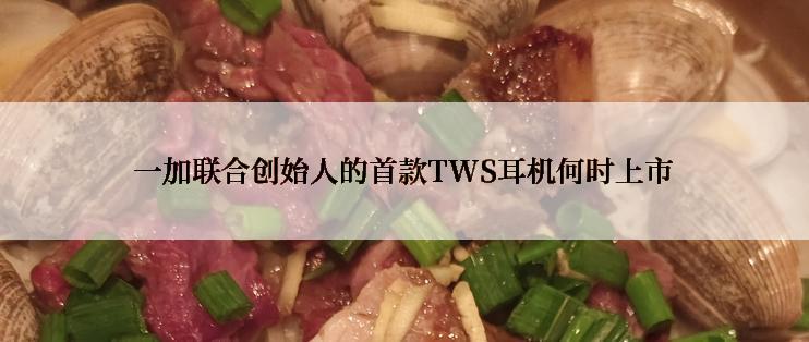 一加联合创始人的首款TWS耳机何时上市