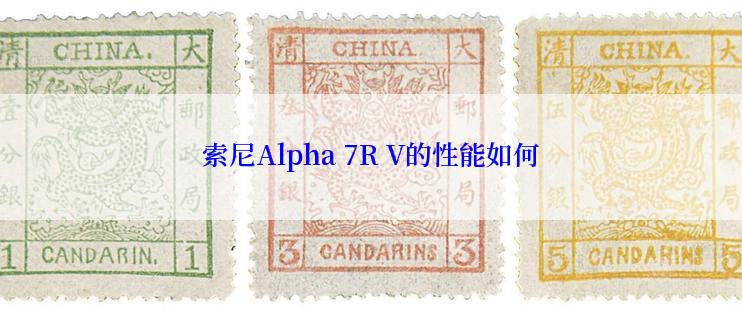 索尼Alpha 7R V的性能如何