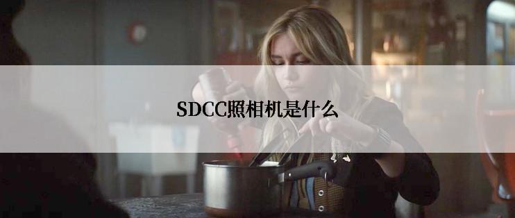 SDCC照相机是什么