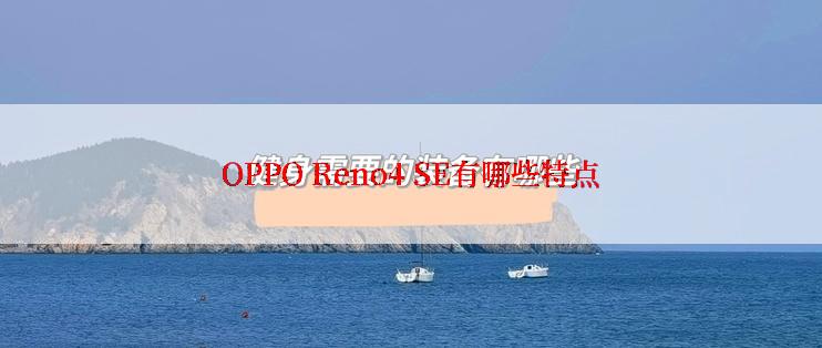 OPPO Reno4 SE有哪些特点