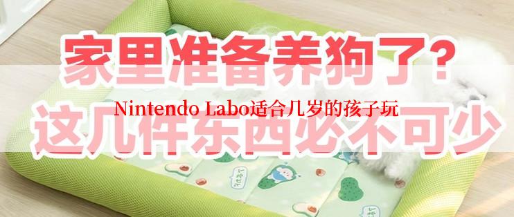 Nintendo Labo适合几岁的孩子玩