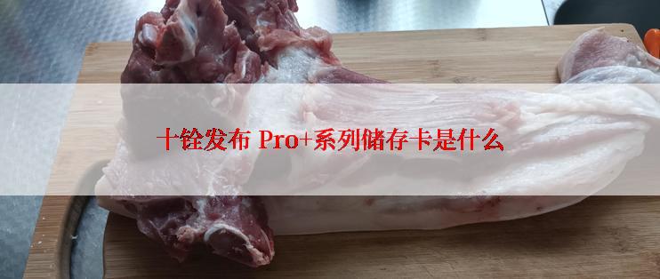 十铨发布 Pro+系列储存卡是什么