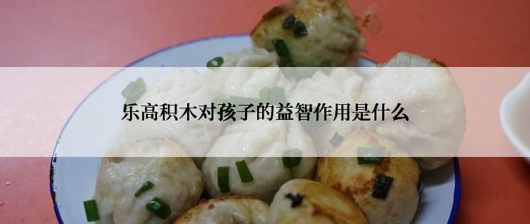 乐高积木对孩子的益智作用是什么