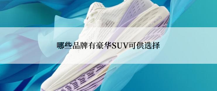 哪些品牌有豪华SUV可供选择