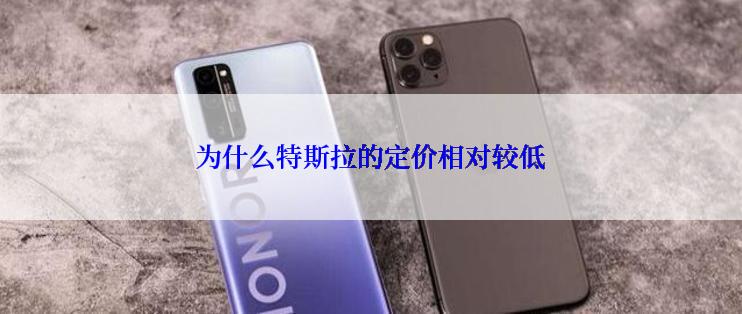 为什么特斯拉的定价相对较低