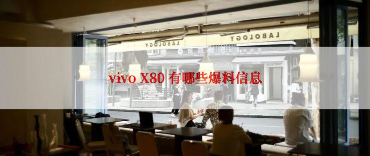 vivo X80 有哪些爆料信息