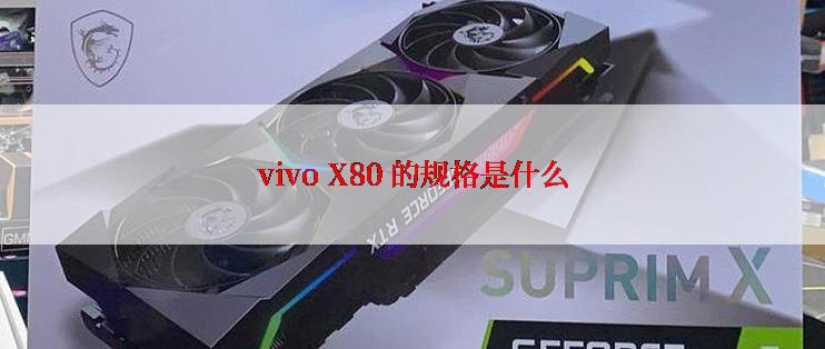 vivo X80 的规格是什么