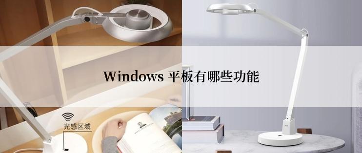 Windows 平板有哪些功能