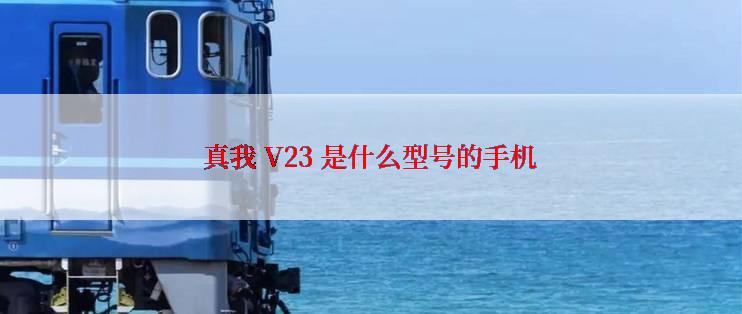 真我 V23 是什么型号的手机