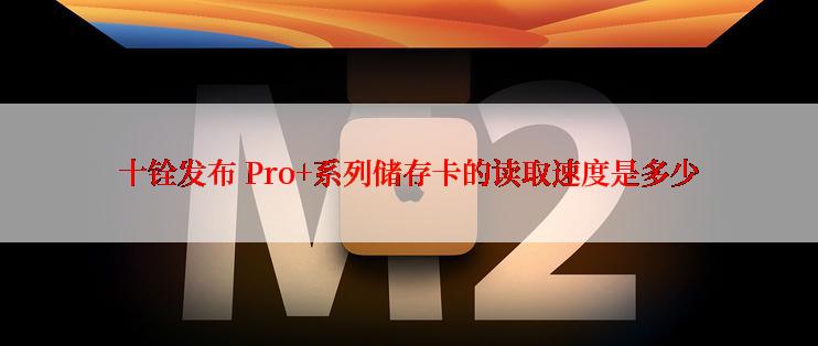 十铨发布 Pro+系列储存卡的读取速度是多少