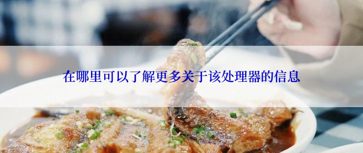 在哪里可以了解更多关于该处理器的信息