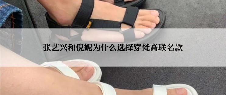 张艺兴和倪妮为什么选择穿梵高联名款