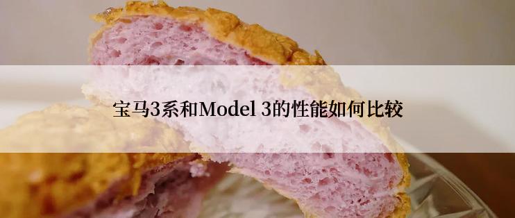 宝马3系和Model 3的性能如何比较