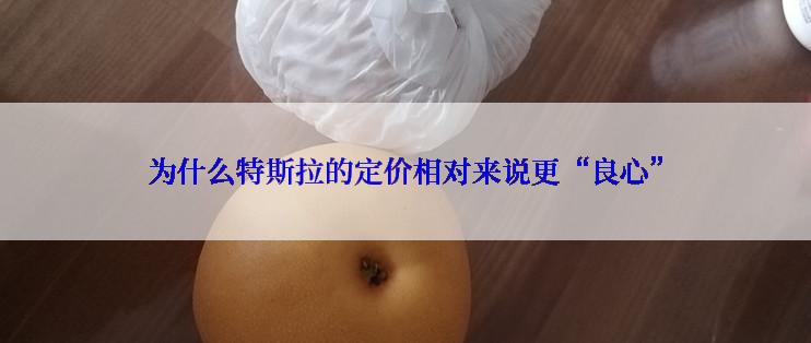 为什么特斯拉的定价相对来说更“良心”