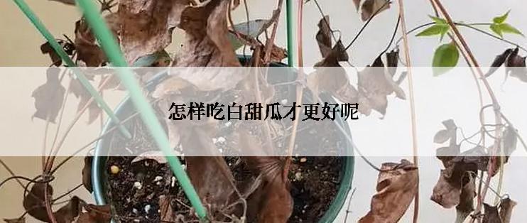 怎样吃白甜瓜才更好呢