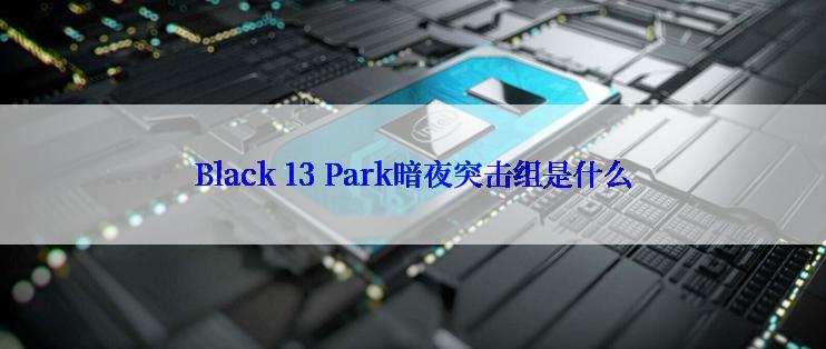 Black 13 Park暗夜突击组是什么