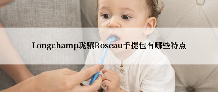 Longchamp珑骧Roseau手提包有哪些特点