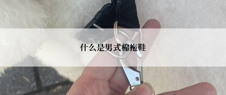 什么是男式棉拖鞋