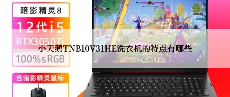 小天鹅TNB10V31HE洗衣机的特点有哪些