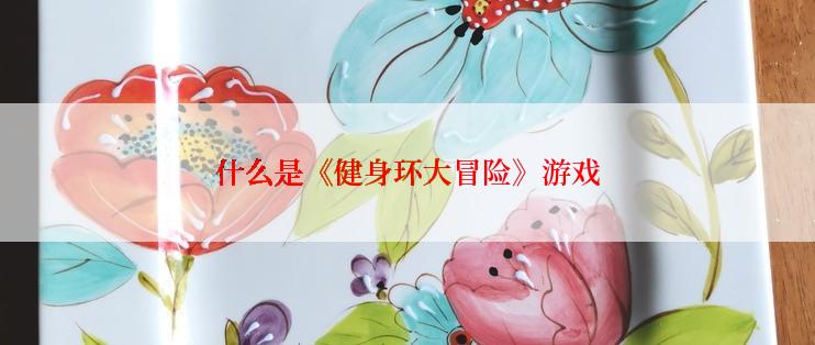 什么是《健身环大冒险》游戏