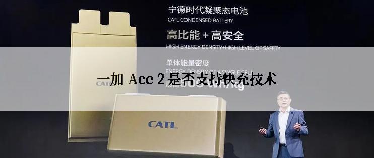 一加 Ace 2 是否支持快充技术