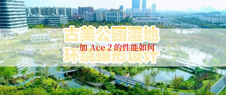 一加 Ace 2 的性能如何