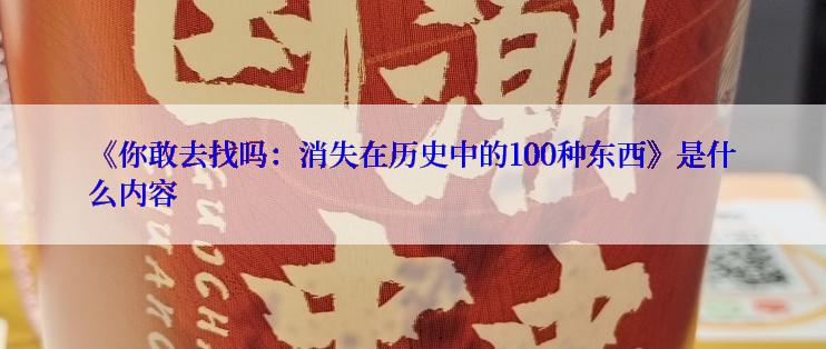 《你敢去找吗：消失在历史中的100种东西》是什么内容