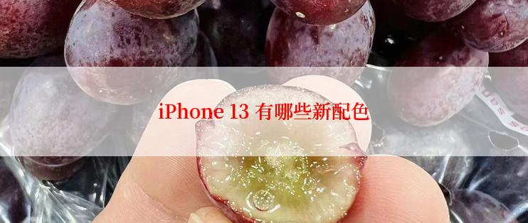 iPhone 13 有哪些新配色