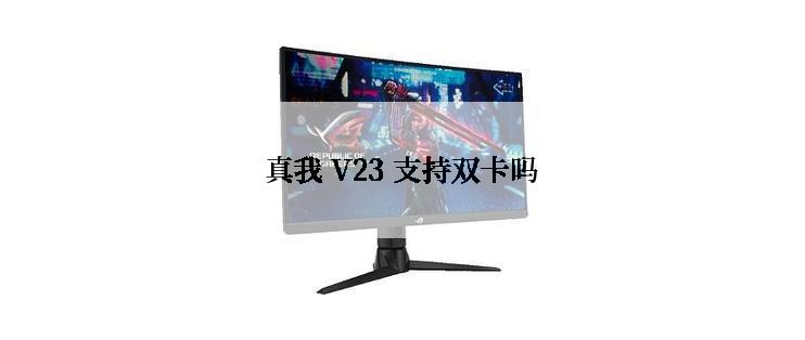 真我 V23 支持双卡吗