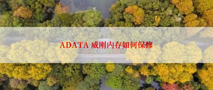 ADATA 威刚内存如何保修