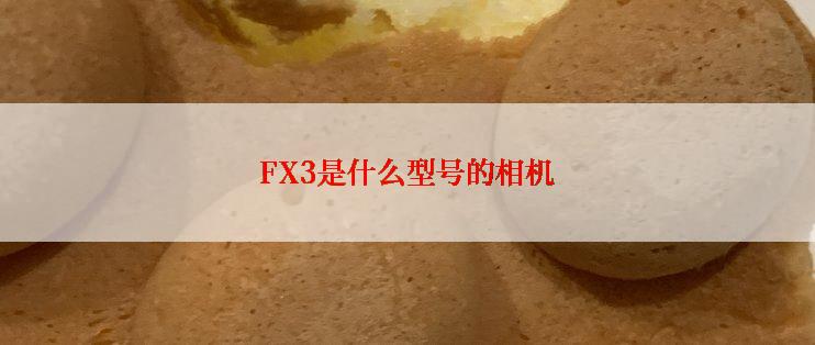 FX3是什么型号的相机