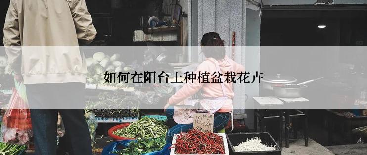 如何在阳台上种植盆栽花卉