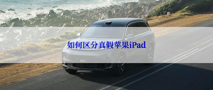 如何区分真假苹果iPad