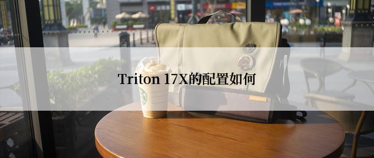 Triton 17X的配置如何