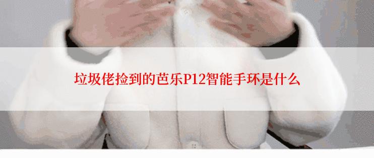 垃圾佬捡到的芭乐P12智能手环是什么