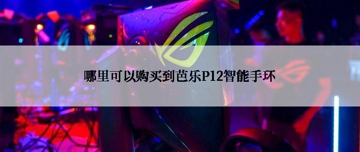 哪里可以购买到芭乐P12智能手环