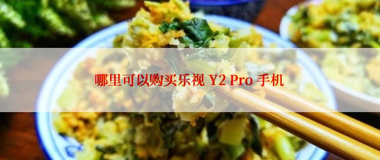 哪里可以购买乐视 Y2 Pro 手机