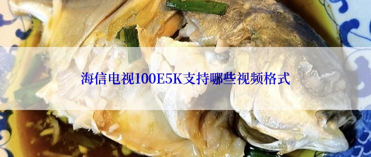 海信电视100E5K支持哪些视频格式