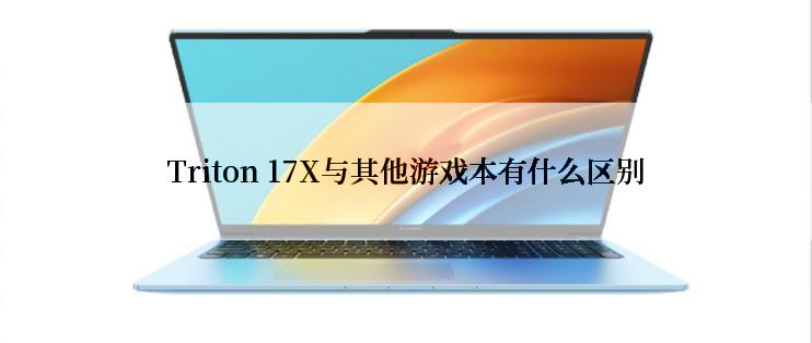 Triton 17X与其他游戏本有什么区别