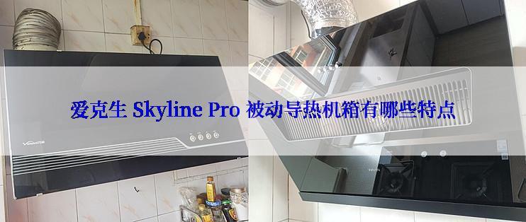 爱克生 Skyline Pro 被动导热机箱有哪些特点