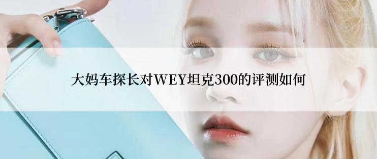 大妈车探长对WEY坦克300的评测如何